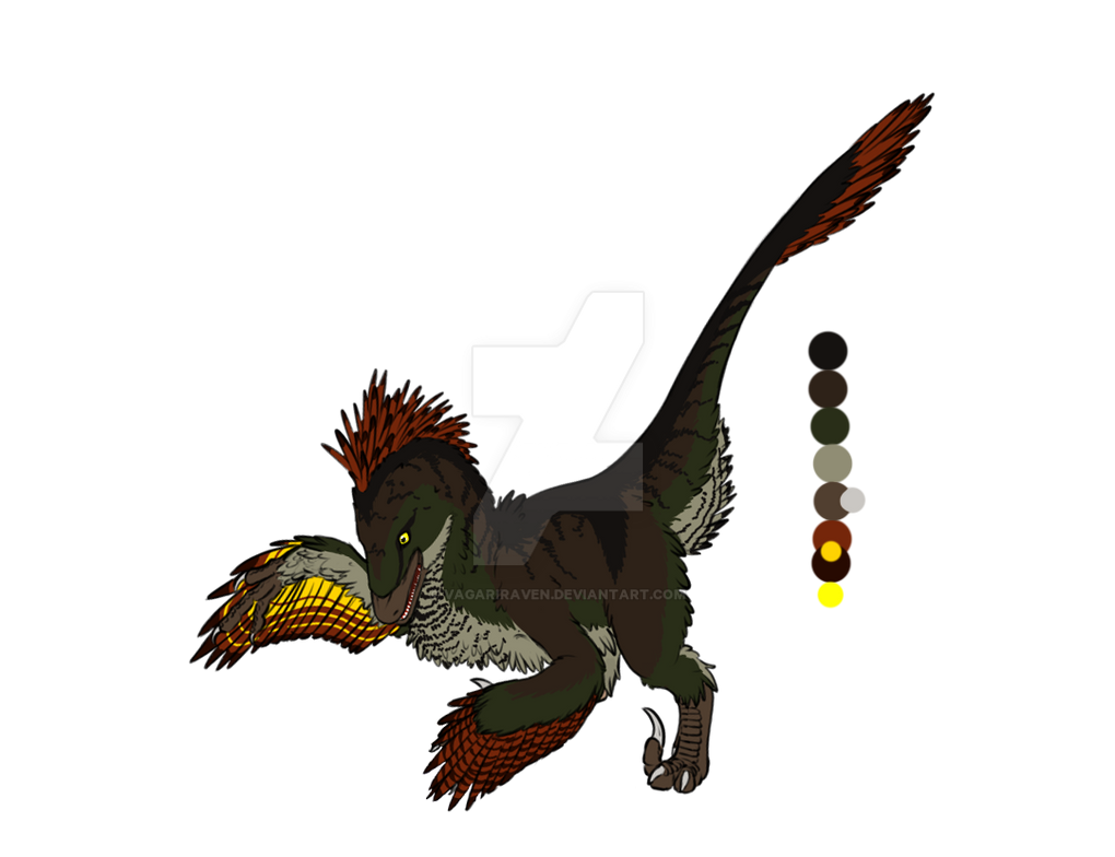 Imaraptor Reference by vagariraven on DeviantArt