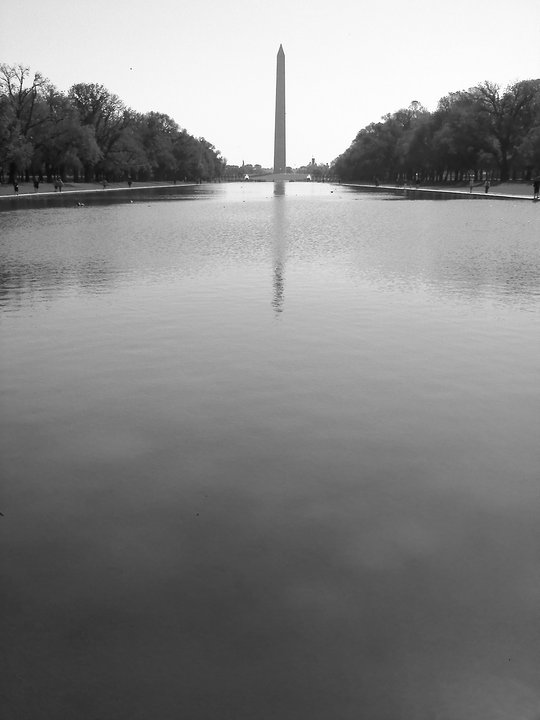 The Reflecting Pool