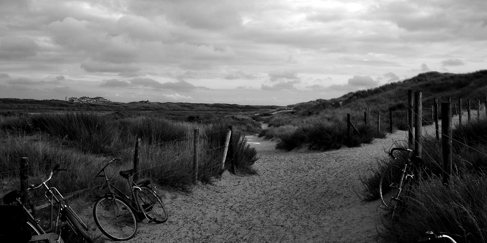 grassy dunes