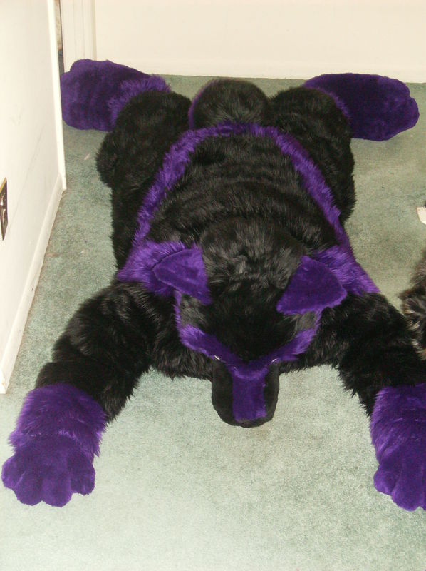 Deviantart Wolf Rug Wolf floor Rug LOL by ElfWolfProductions on DeviantArt