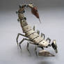Mechanical Scorpion No 4 II