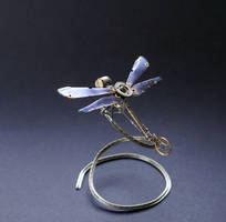 Dragonfly No 22