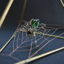 Spider No 81 and Web (close)