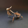 Watch Parts Ghost Mantis (Mantis No 50)