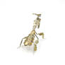 Watch Parts Praying Mantis 53 Ghost Mantis 3 (II)