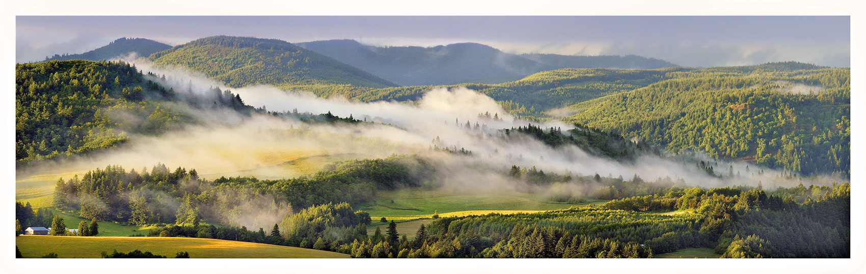 Mist Rising