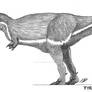 Tyrannosaurus rex Subadult