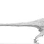 Velociraptor mongoliensis