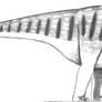 Nigersaurus taqueti