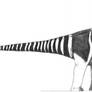 Shunosaurus lii