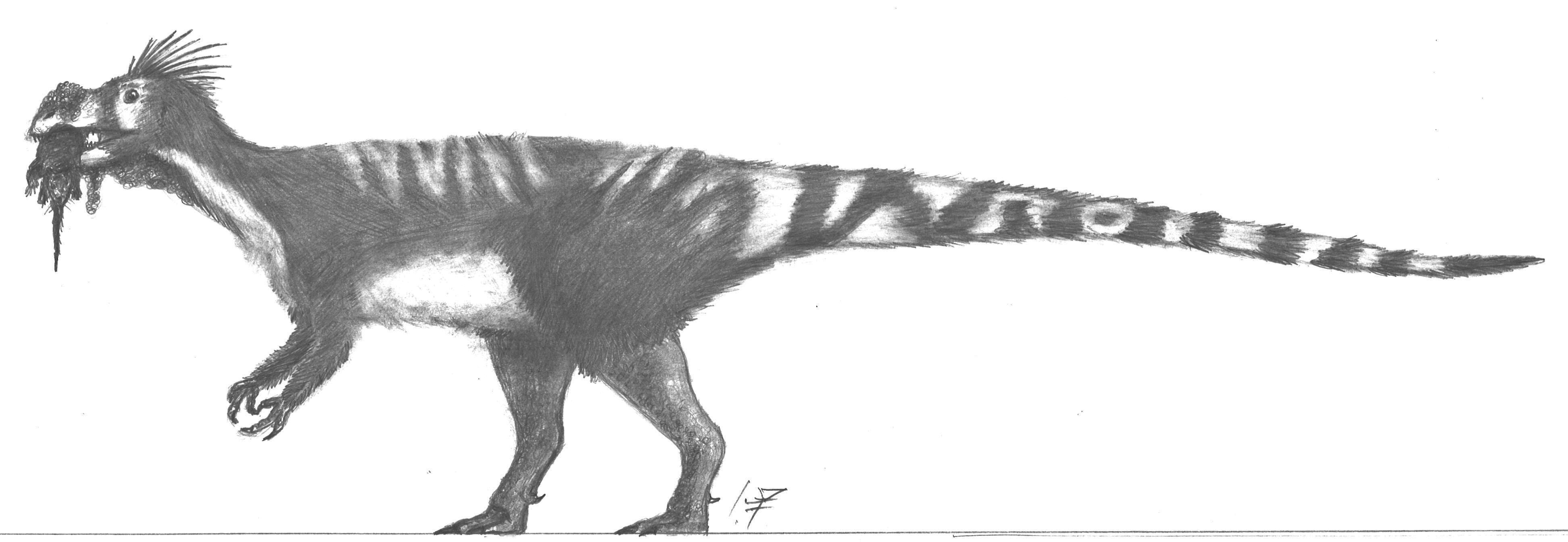 Coelurus Deviantart Coelurus fragilis by MrGriffinGiles on DeviantArt