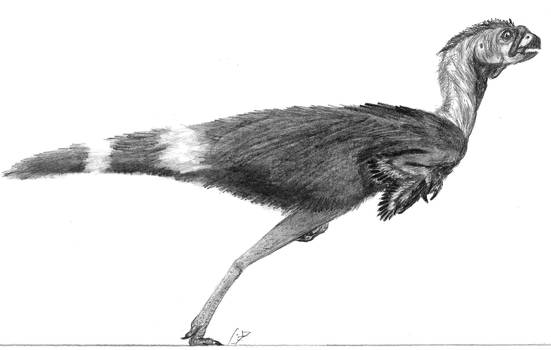 Explore the Best Avimimus Art DeviantArt