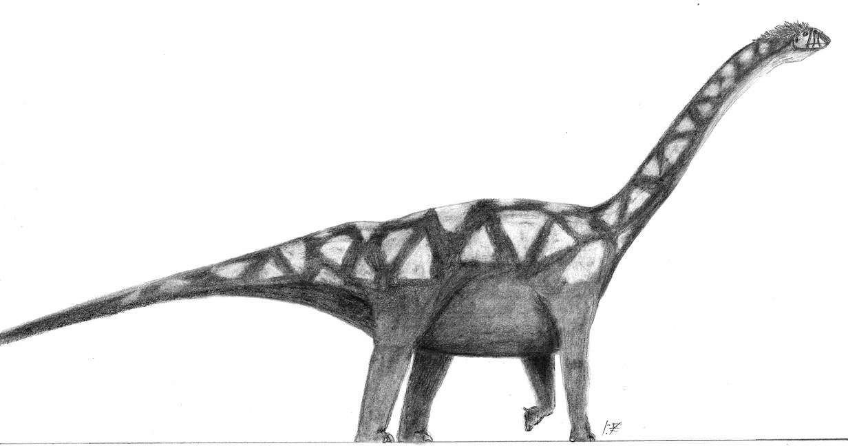 Datousaurus bashenesis by MrGriffinGiles on DeviantArt