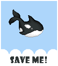 The Whales need your help :c