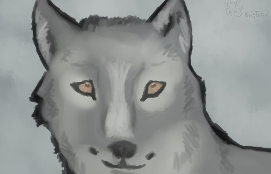 Wolf by gilberhp on DeviantArt