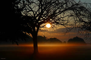 Early autumn sunrise by George---Kirk