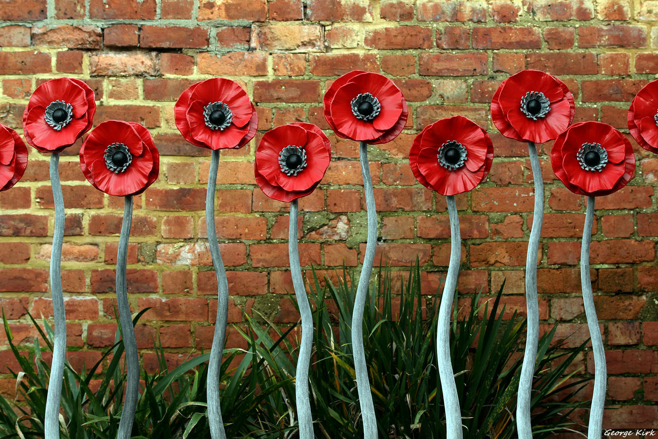 The Walled Garden