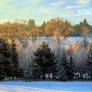 Winterscape