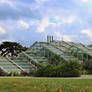 The Princess of Wales Conservatory