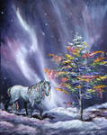 Northern Rainbow by FreeMeadows