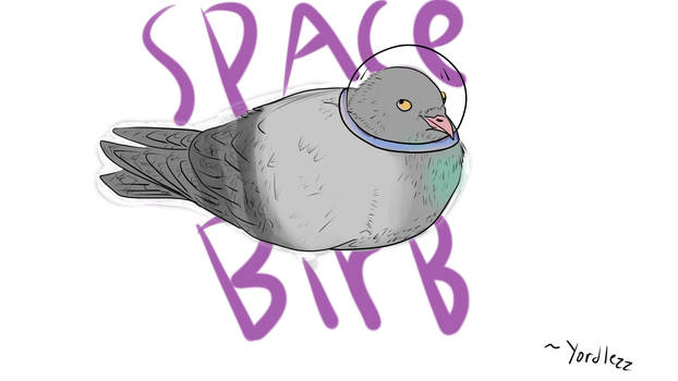 Space Birb