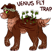 venus fly trap plant pup design gift