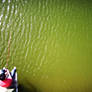 Fishing Trip