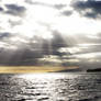 His Rays