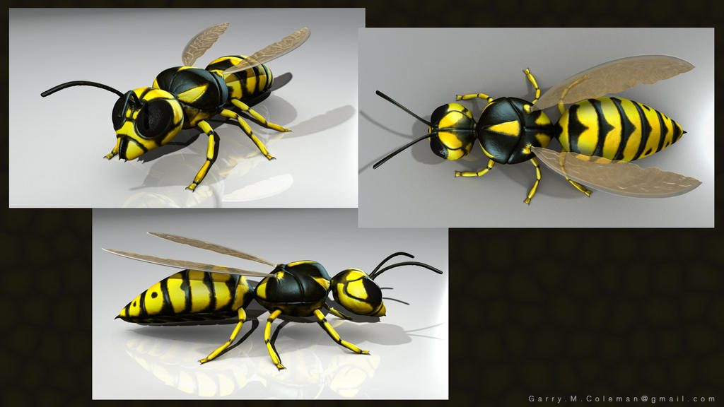 Wasp Finished by GarryColeman on DeviantArt