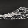 Crocodile skull (scratchart)