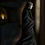 Snape in Solitude - AmberLion