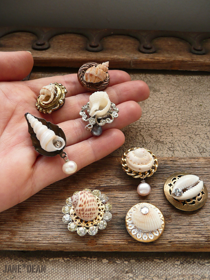 Tiny shell specimen magnets