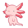 Axolotl