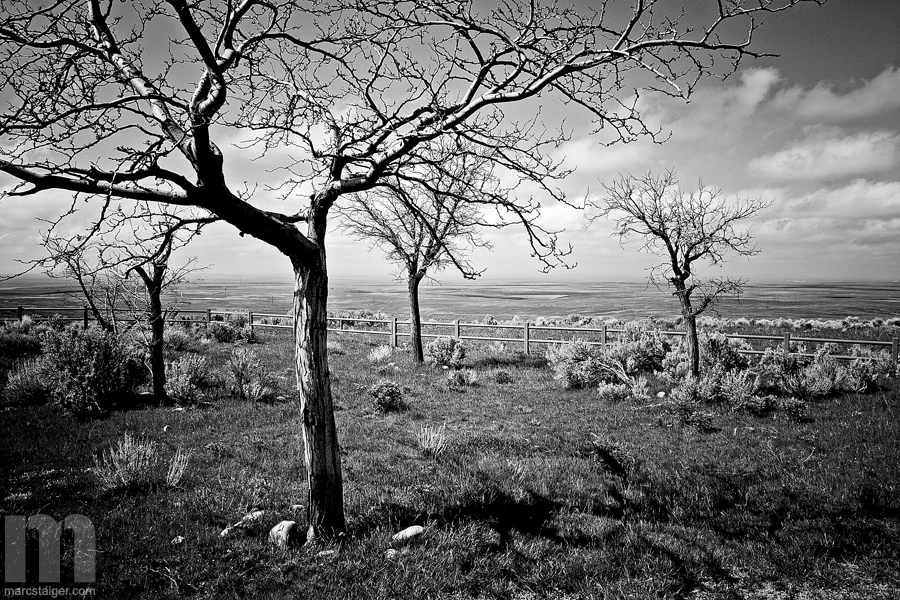 fence + plains