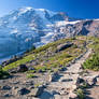 stairway to mt. rainier