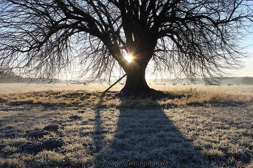 frosty shadow play by MT-Photografien