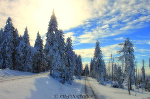 winter wonderland in the resin 10