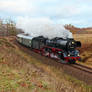 Steam locomotive 032155-4 on special trip Nr.2