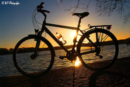 my bike in the evening light