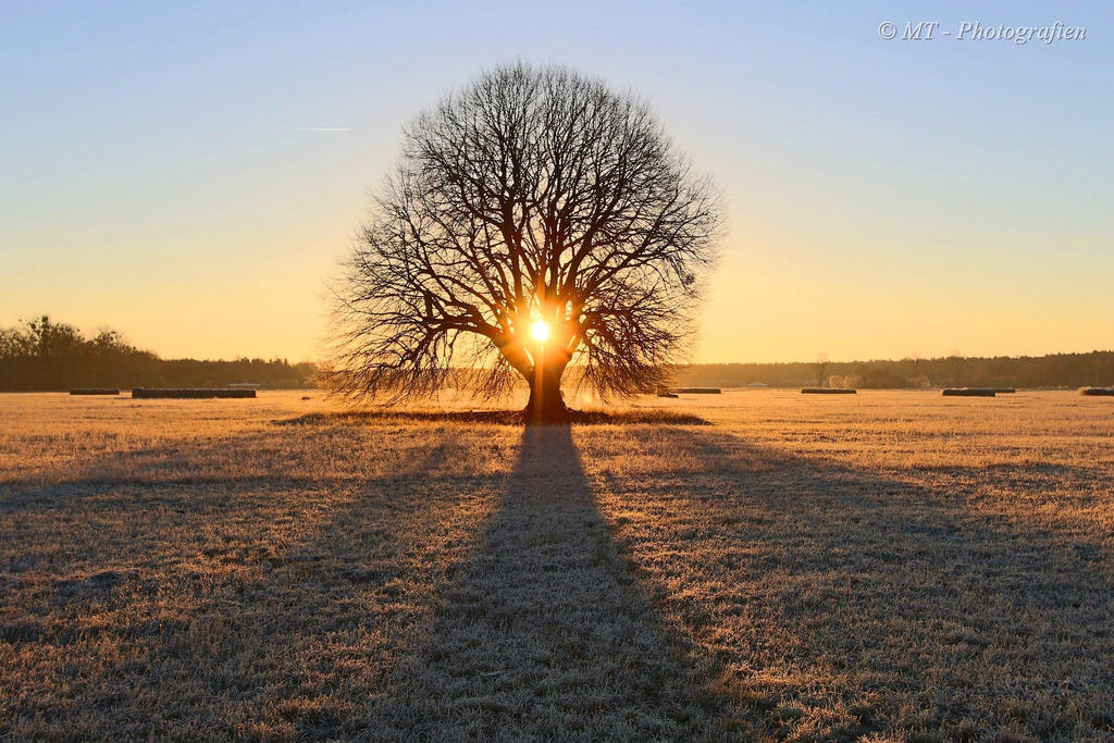 Sunrise on a beautiful frosty winter day 4