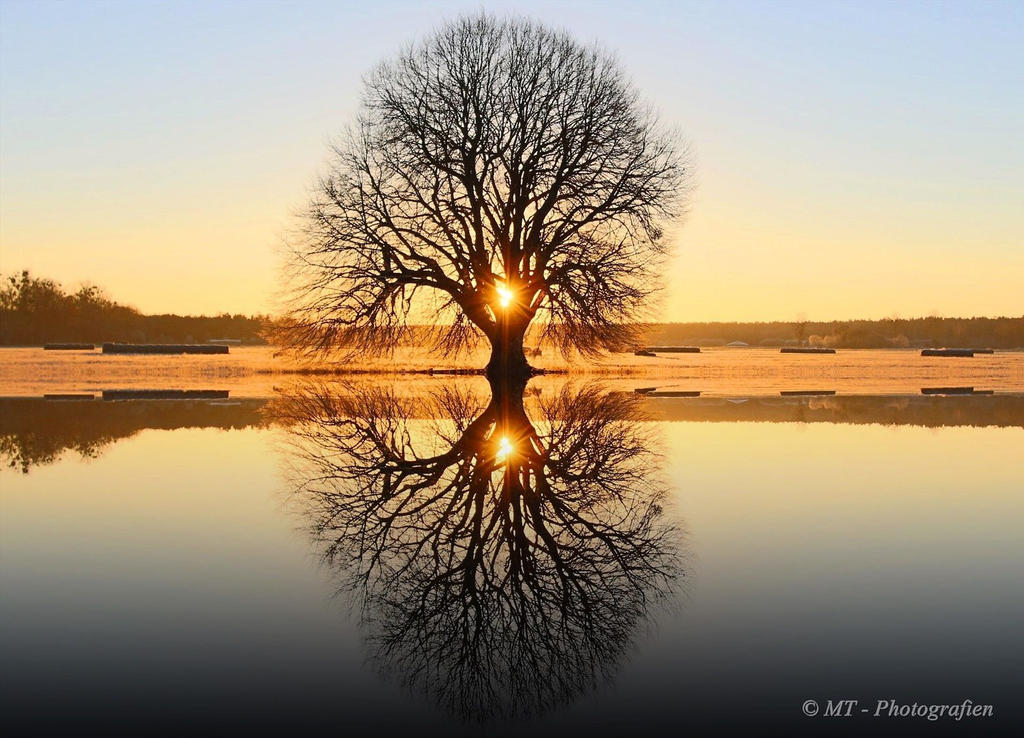 Romantic morning sun by MT-Photografien