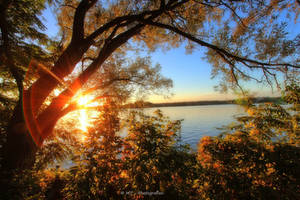 evening autumn colors at Tegeler lake by MT-Photografien