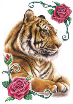 Tiger N' Roses