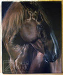 Oldenburg Horse by Z-ompire