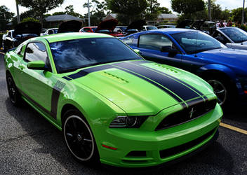 The Boss 302