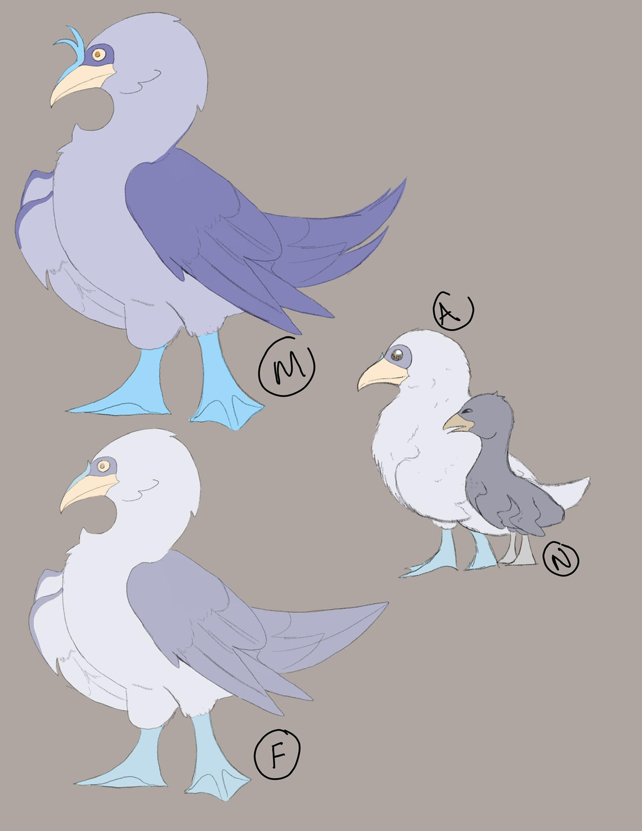 Deviantart Bird Designs Bird design by MythicsGo on DeviantArt