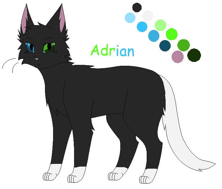 Adrian-REFERENCE by Holly2001 on DeviantArt