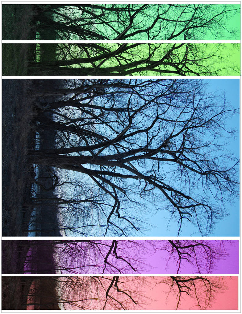 Tree of many Colors by songwriter128 on DeviantArt