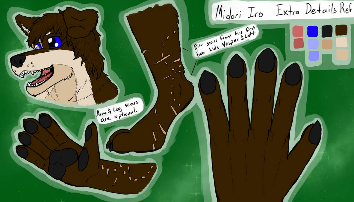 Midori Ragdoll Midori Ref - Extra Details by ShadowEclipex on DeviantArt