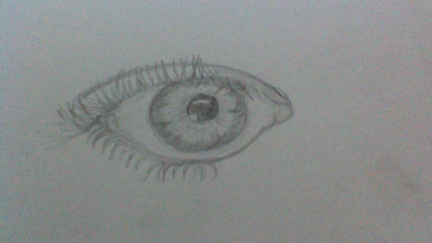 Eye Sketch (creative title)